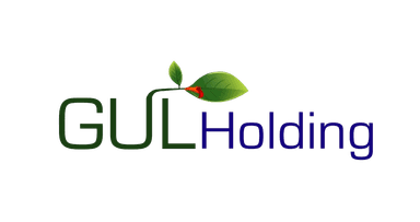 Gul Holding